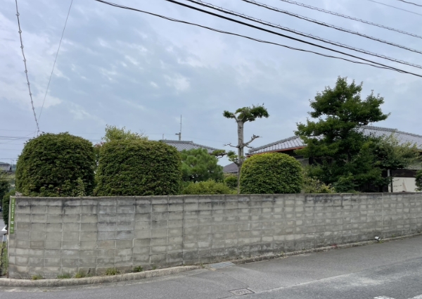 個人宅、庭の剪定前