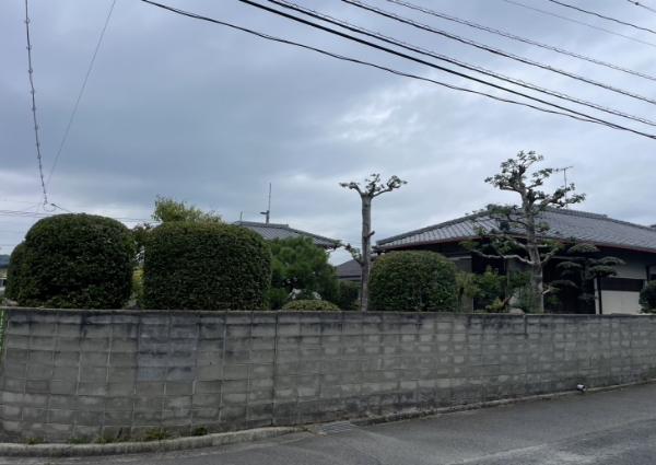 個人宅、庭の剪定後