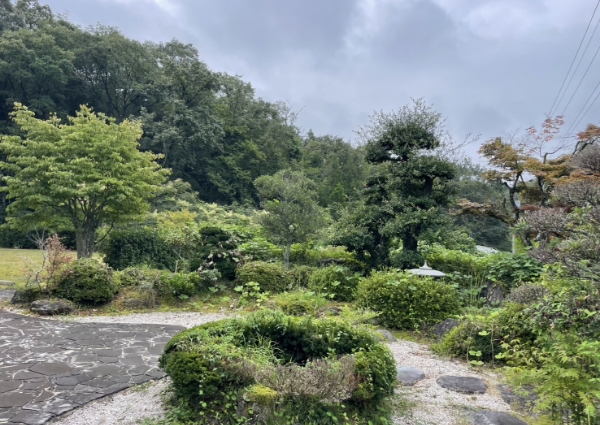 個人宅、庭の剪定前