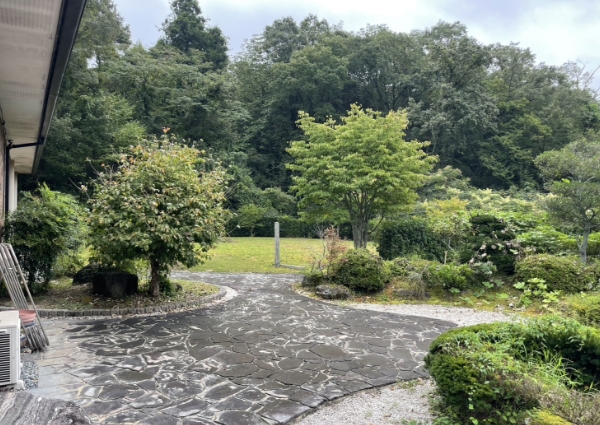 個人宅、庭の剪定前