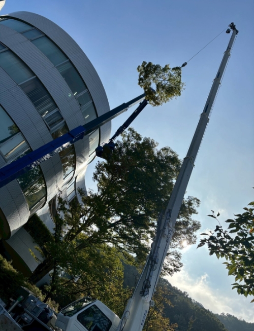 高所作業車を使用しての作業風景