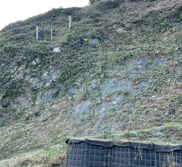 急傾斜な法面の草刈り後