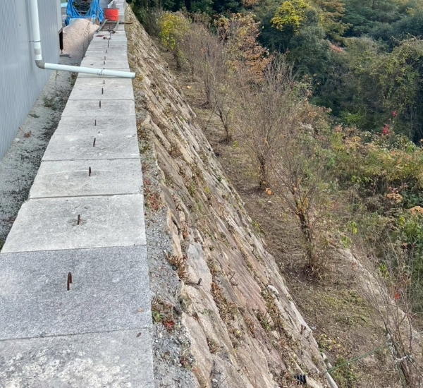 急傾斜の草刈りと剪定作業後