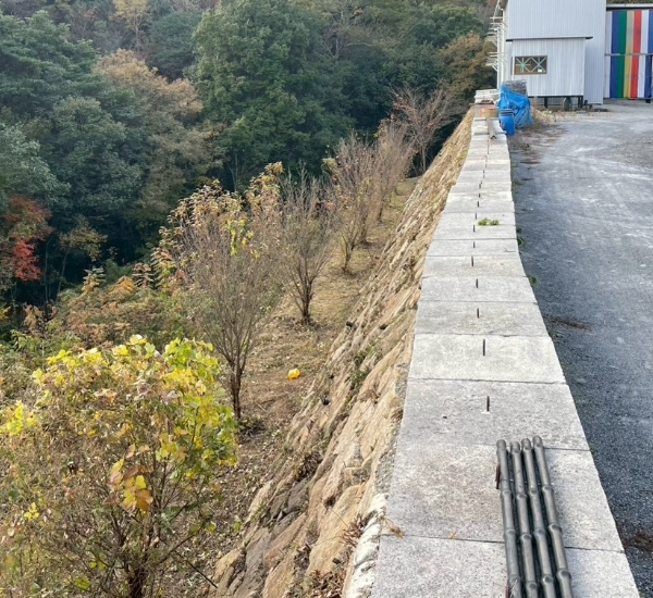 急傾斜の草刈りと剪定作業後