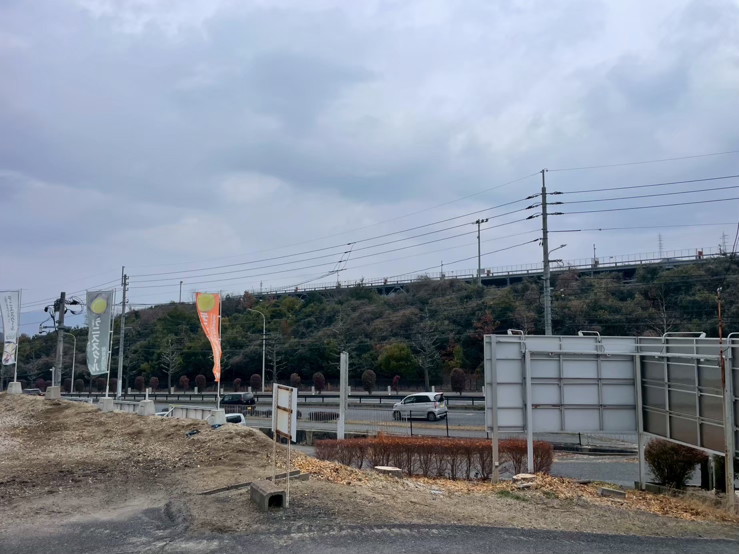 高木5本、伐採後