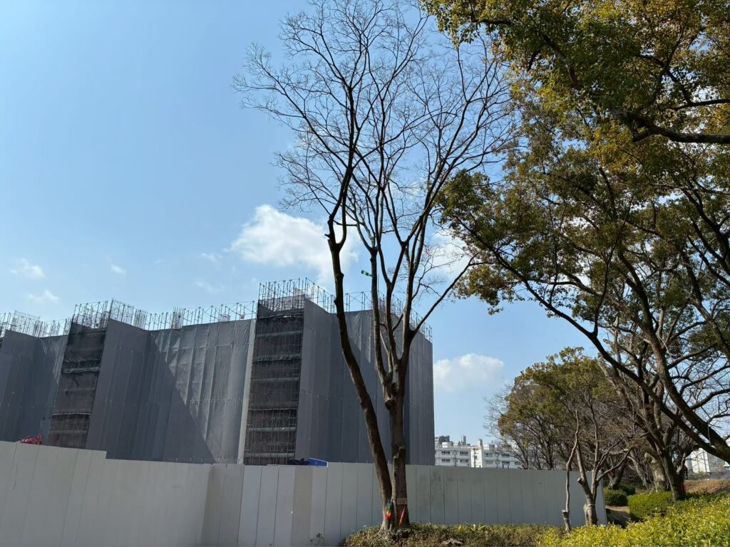 高木の伐採前