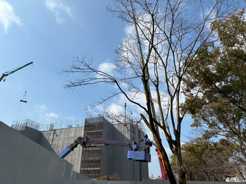 高所作業車を使用した伐採作業中