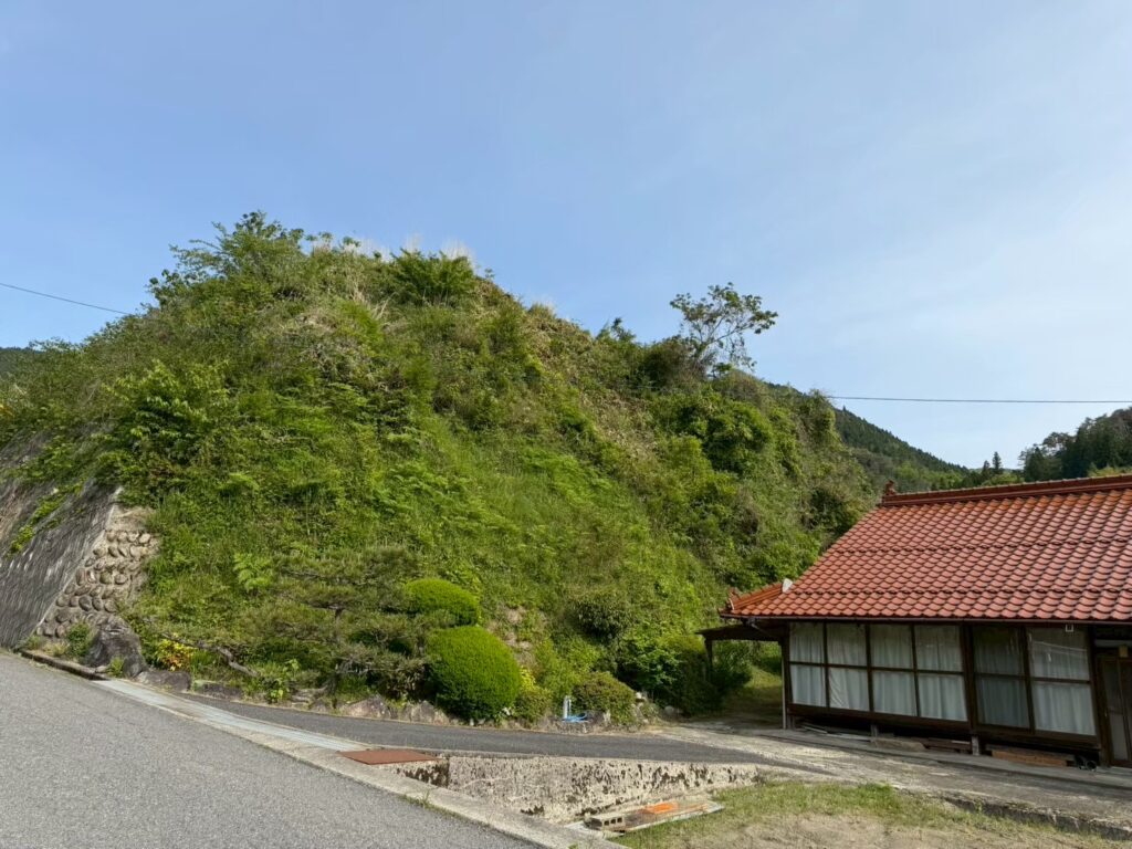 法面の草刈り作業前
