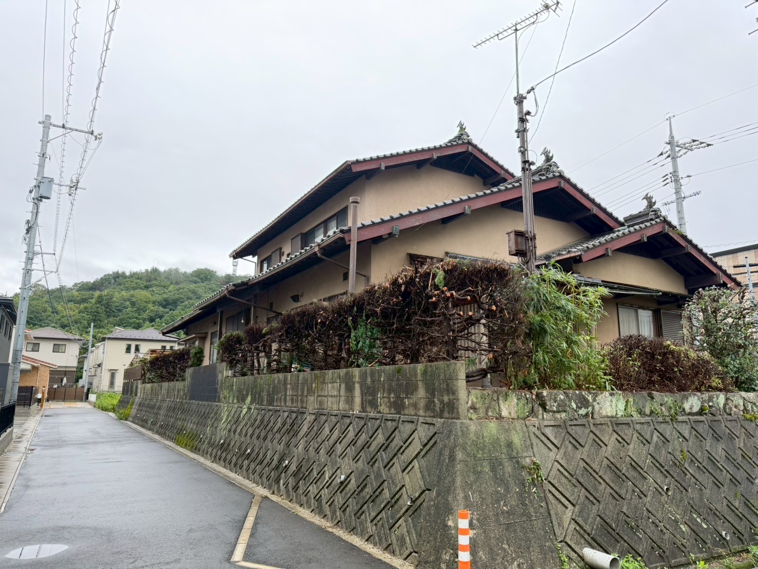 庭木の剪定後
