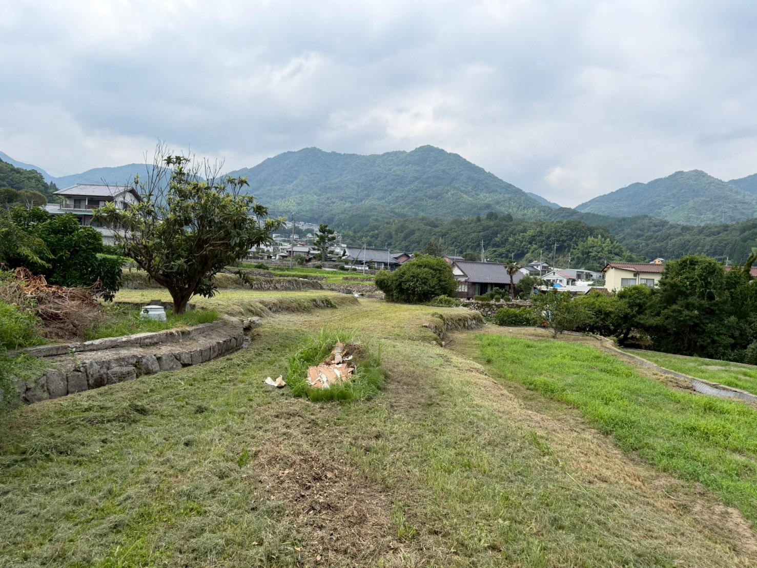 空き地の草刈り後