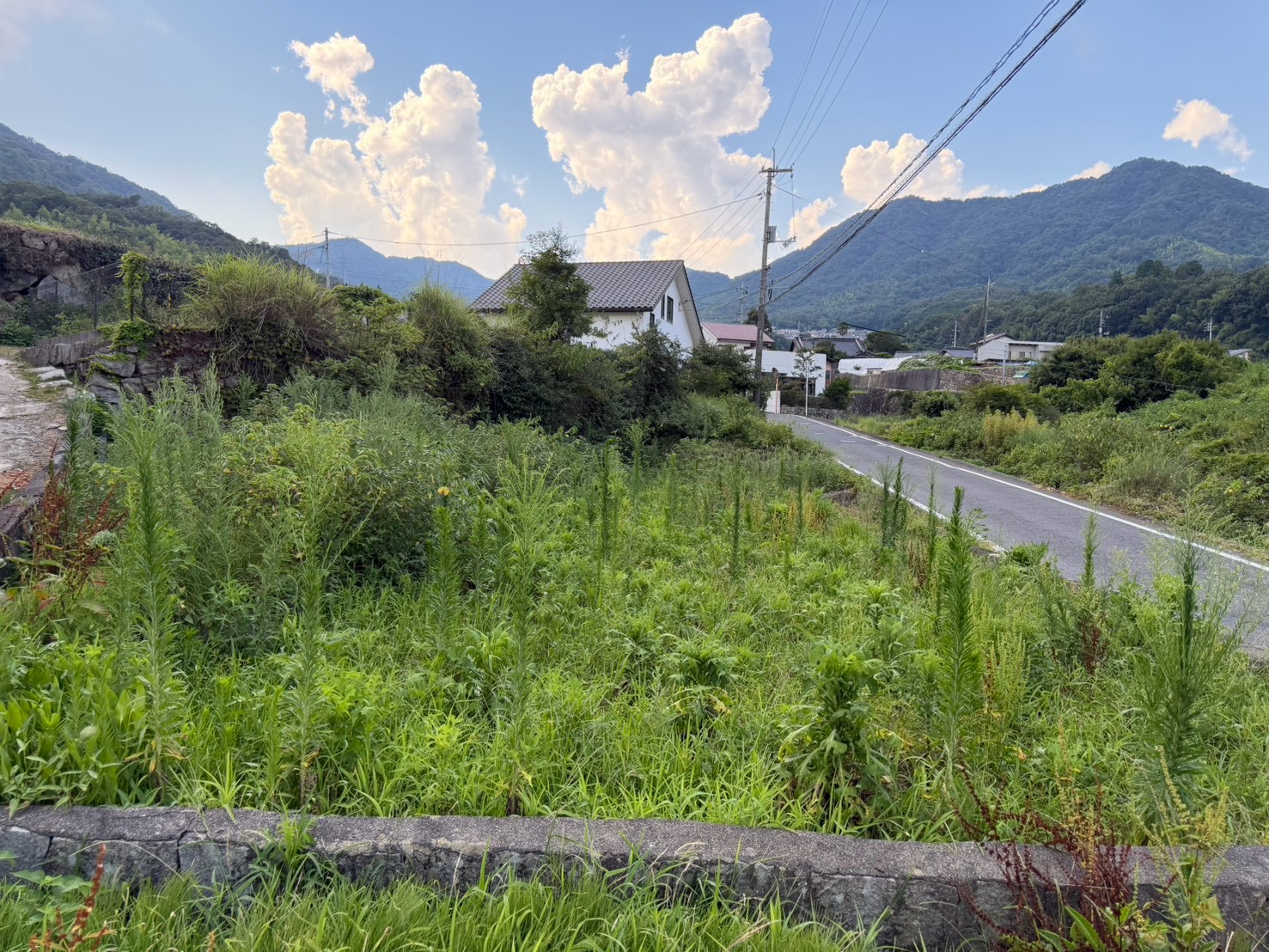 広島県廿日市市の草刈り作業前