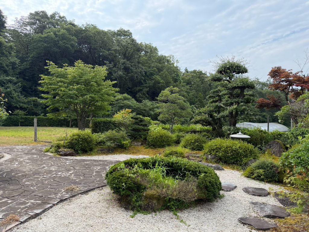 施工前の様子。枝が自由に伸びて混み合い、全体的に重たい印象になっていました。