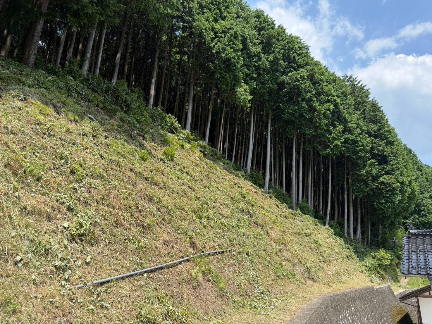 法面の草刈り作業後