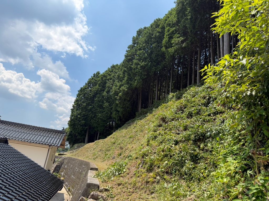 【施工事例_Before】法面の草刈り作業後