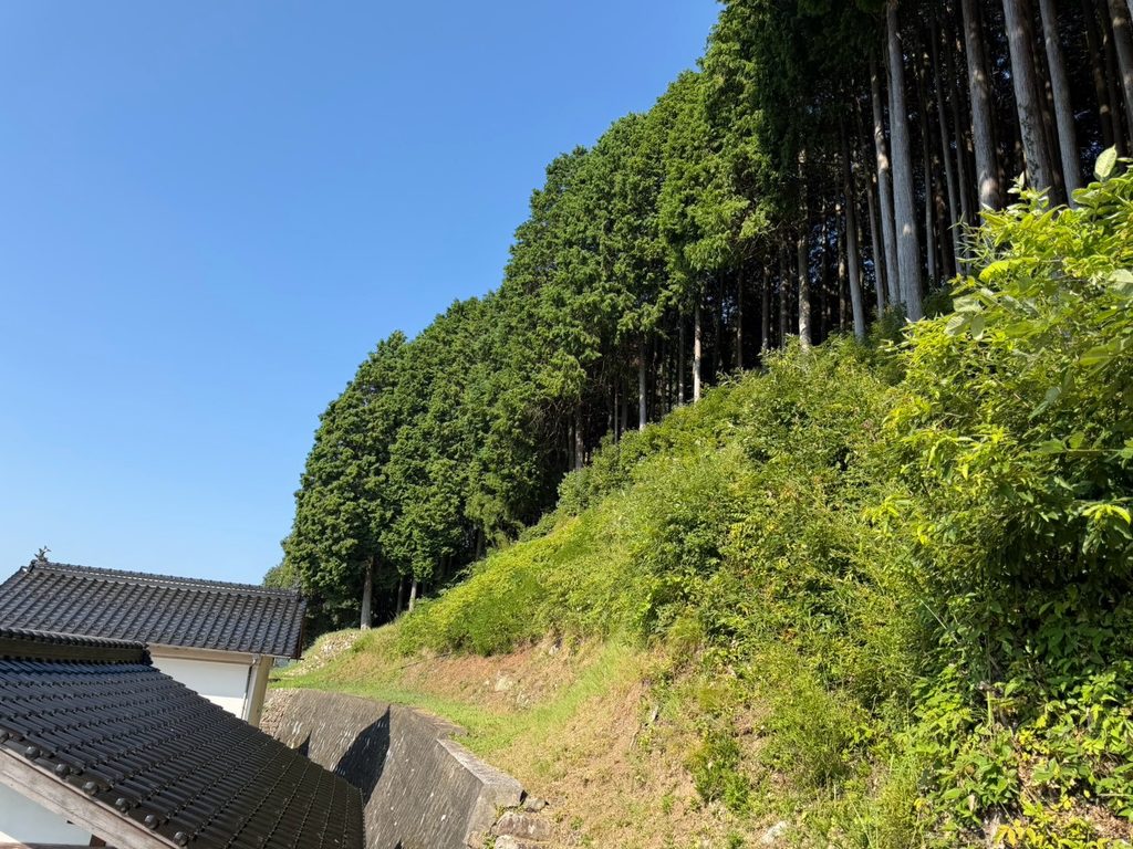 【施工事例_Before】法面の草刈り作業前