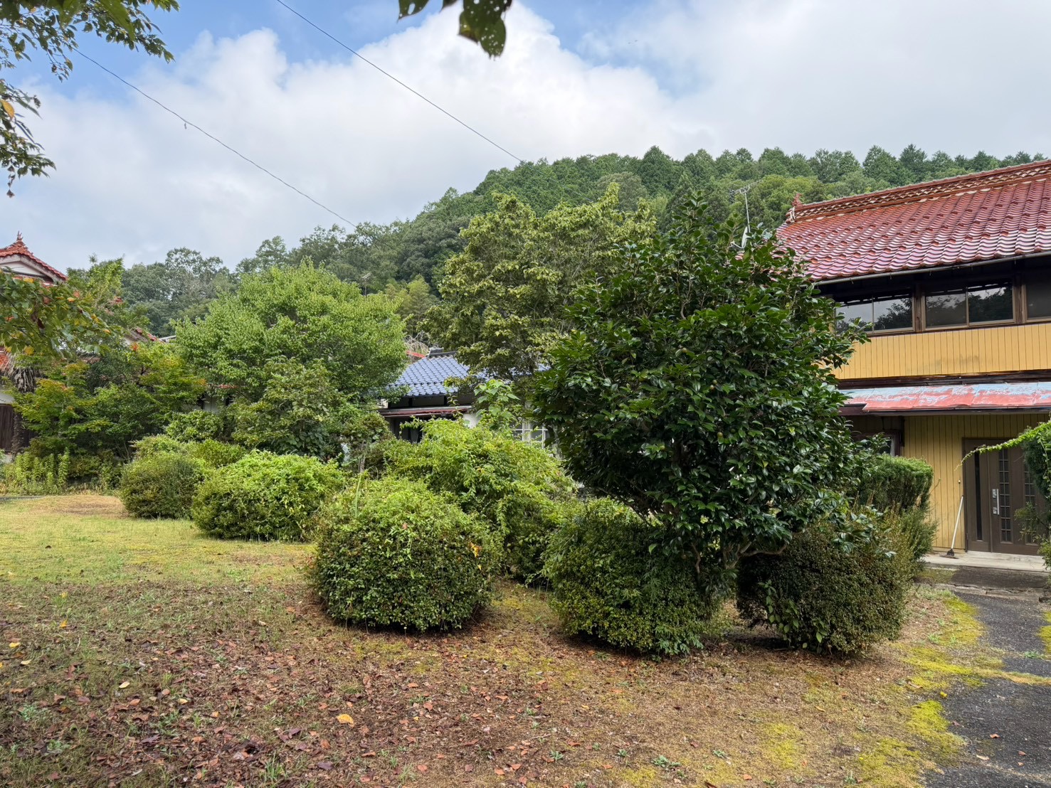 枝葉が伸びてぼさぼさの庭木